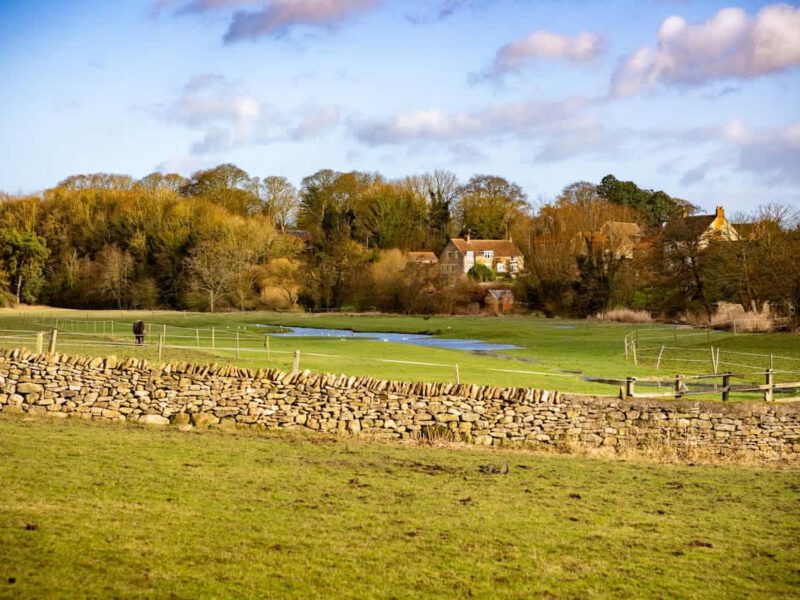 Yew Tree Cottage farm stay with horses in a scenic rural landscape.