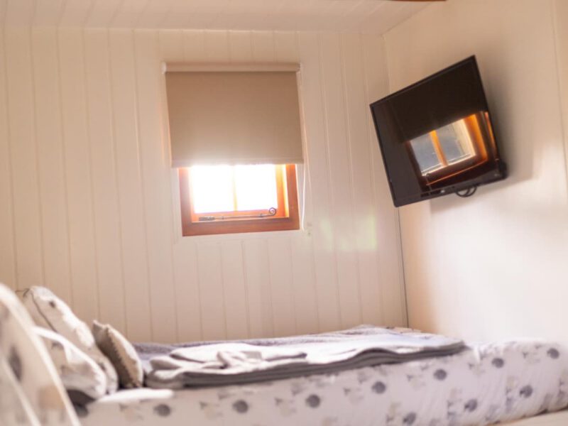 Cosy bed and TV in Shepherd's Hut farm stay accommodation.