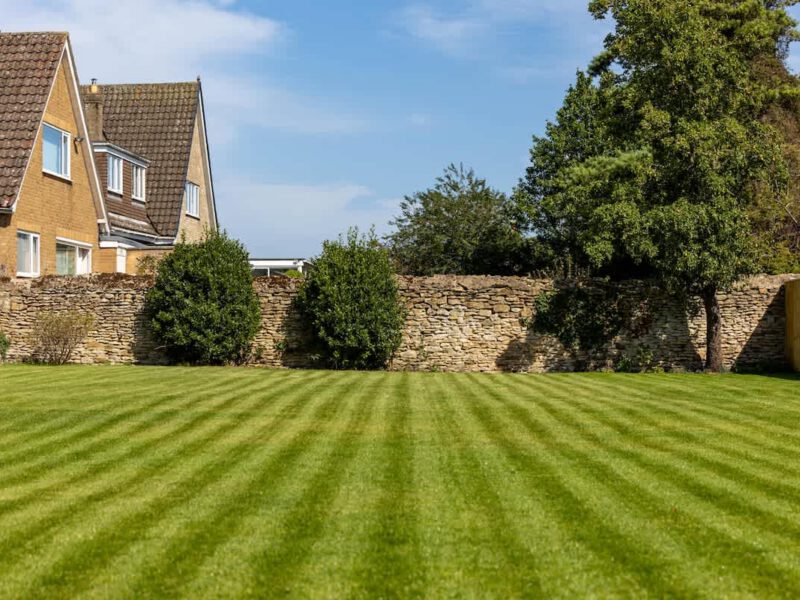 Manicured lawn and stone wall at Castle View Cottage holiday let.