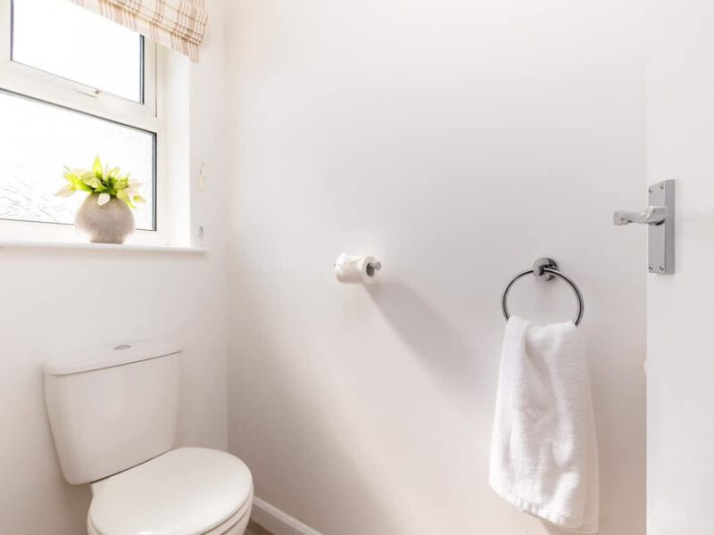 Clean bathroom with toilet and towel ring at Coastal Village Hideaway.
