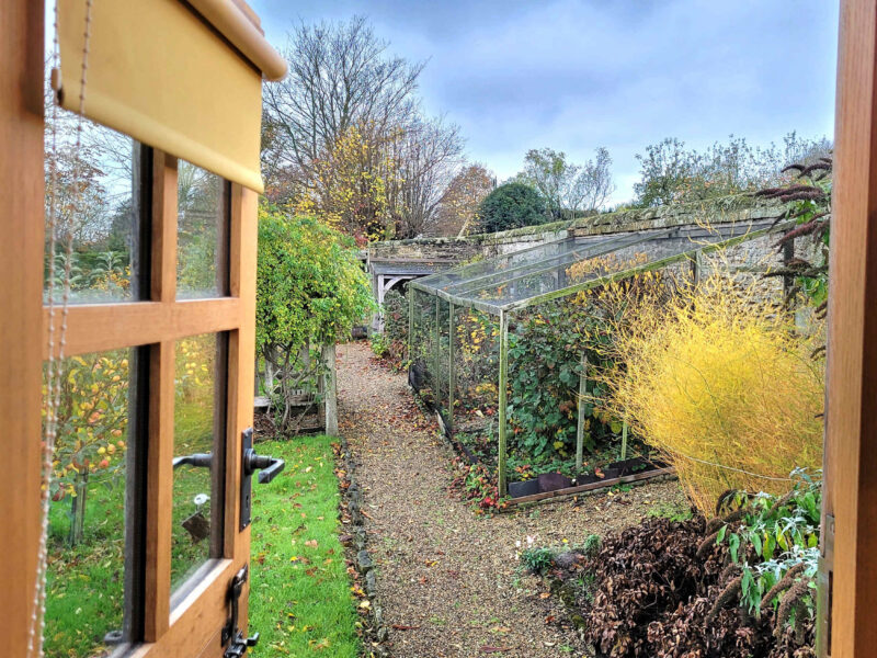 View of greenhouse and apple orchard from Plank Bridge shepherds hut.