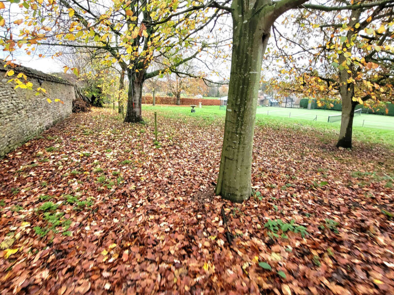 Autumnal leaves and stone wall at Plank Bridge shepherds hut.