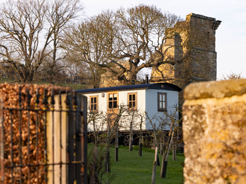 Plank Bridge shepherds hut in apple orchard with ancient ruins backdrop.